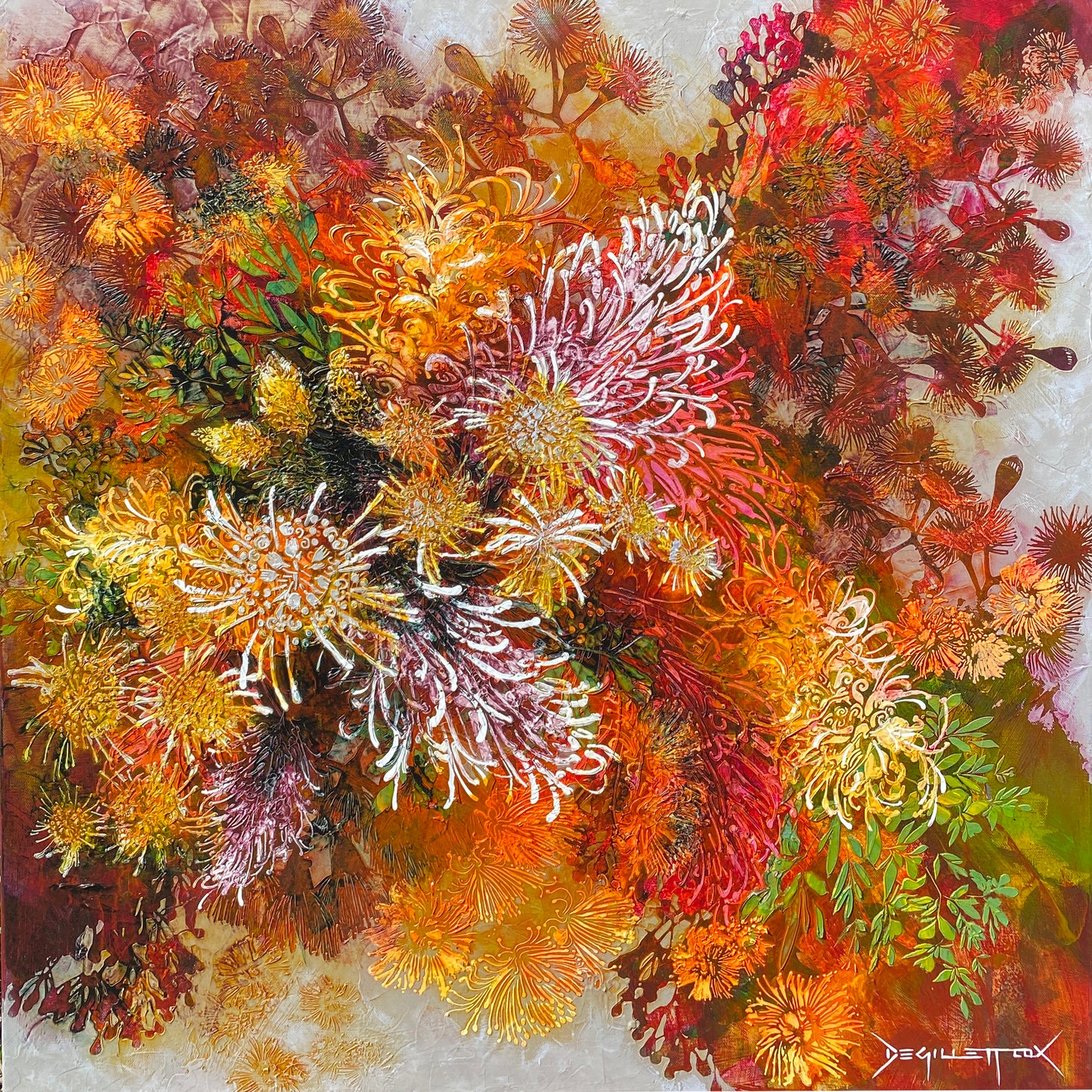 De Gillett Coz - Grevillia Pop