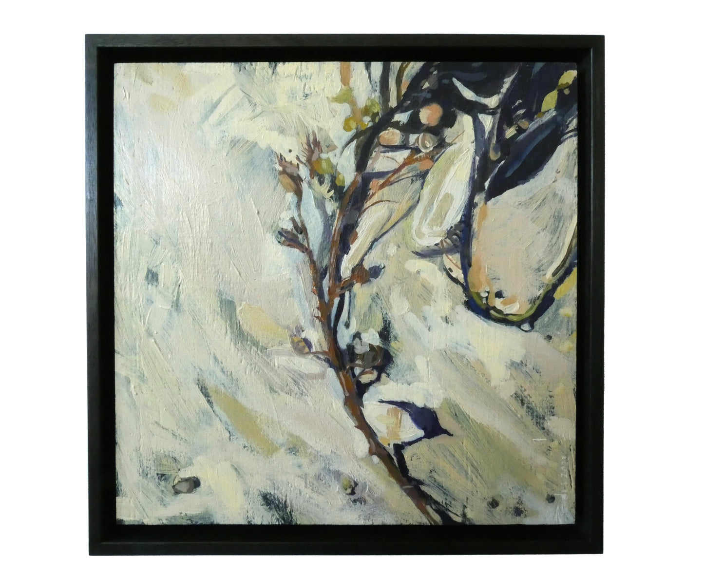 Debbie Mourtzios - Seaweed 1