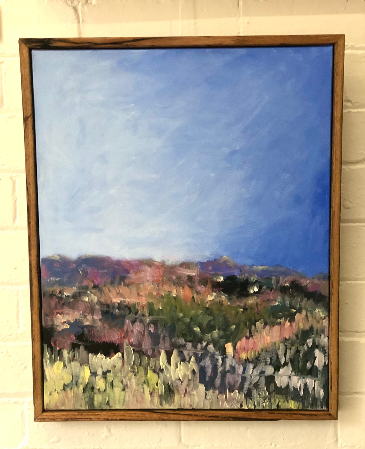 Scoparia Flowering Number 13 by Beth Williams