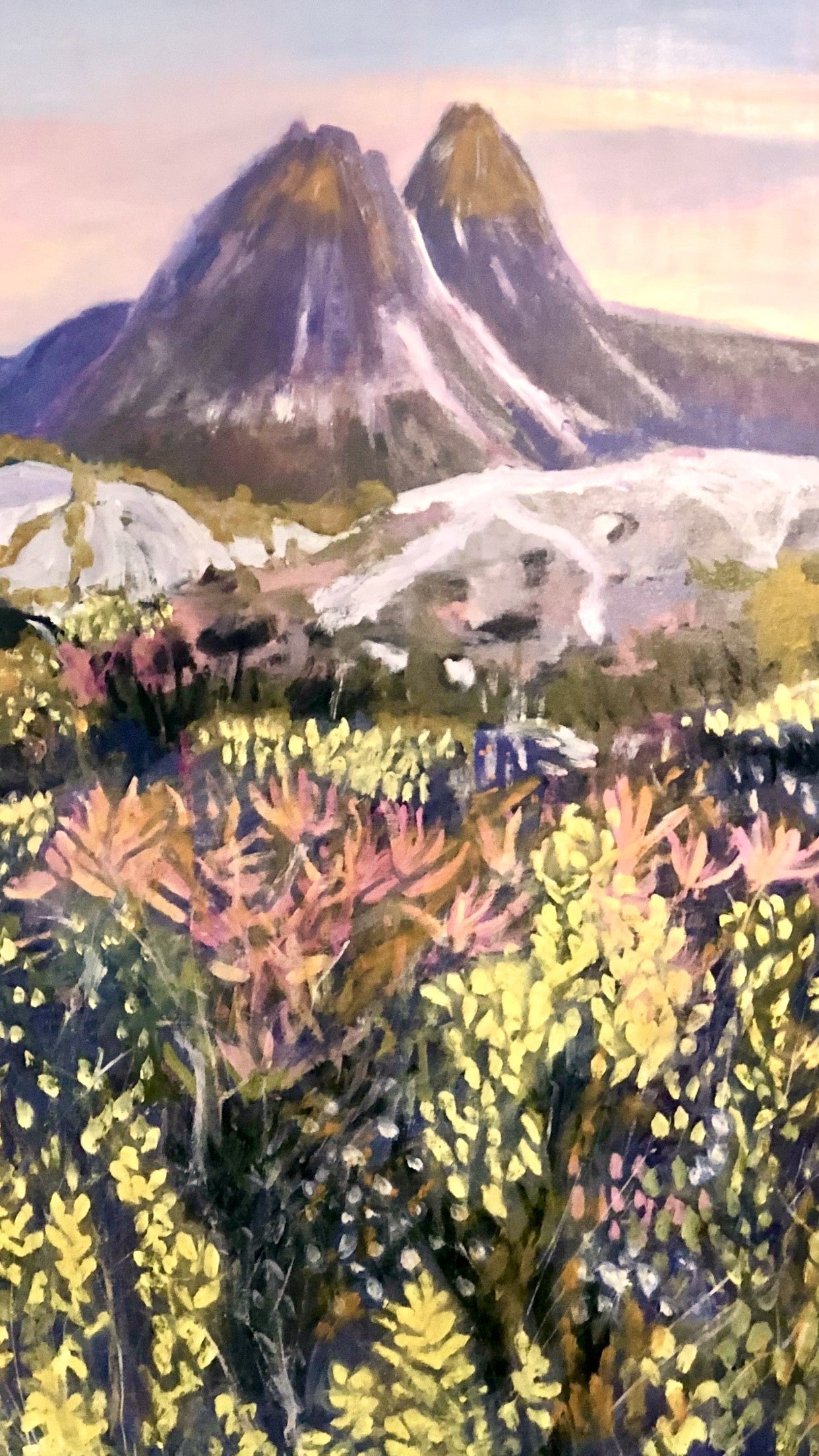 Beth Williams - Tasmania Dreaming