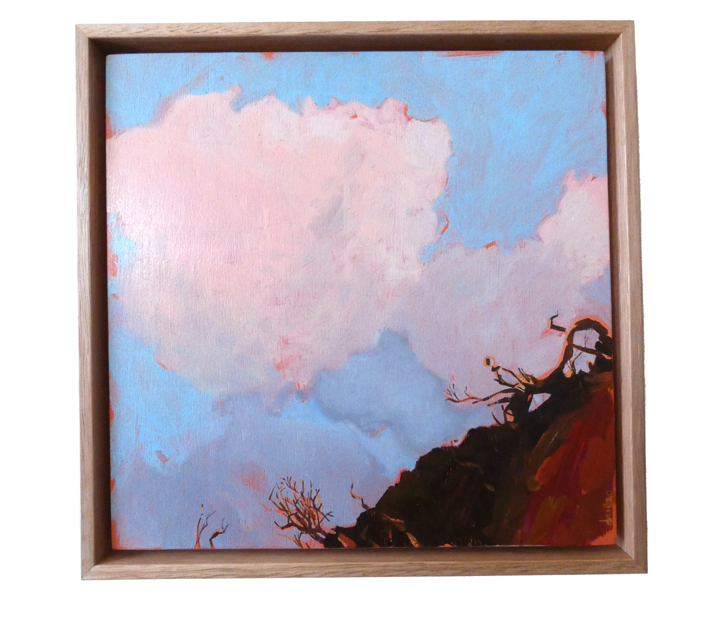 Debbie Mourtzios - Sunnymeade Cliffs