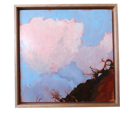 Debbie Mourtzios - Sunnymeade Cliffs