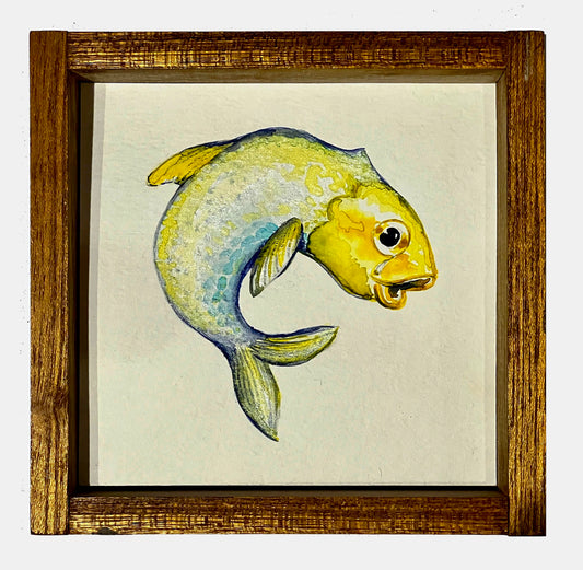Ali Griffin - Fish out of water