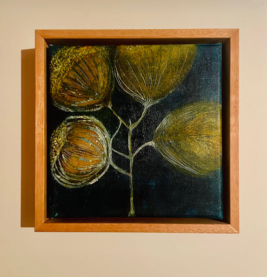 Zanne Thornton - Looking for Seed Pods