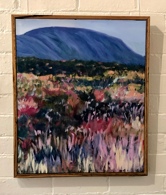 Scoparia Flowering Number 6 by Beth Williams