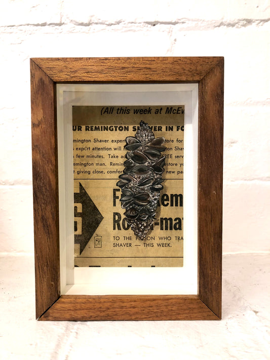 Bianca Horton - Natures Print