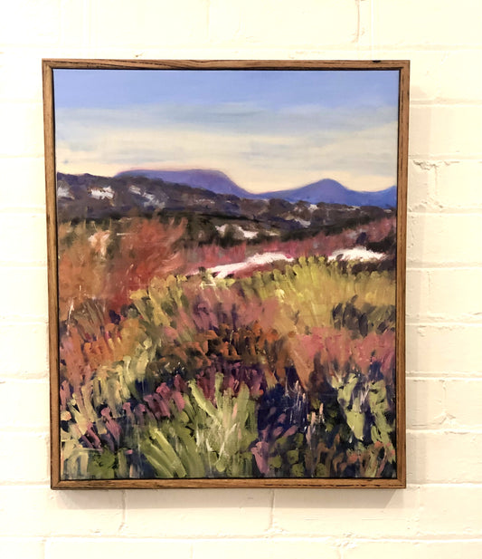 Scoparia Flowering Number 3 by Beth Williams